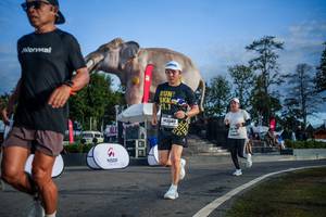 BIB: 
                            <button type="button" onclick="openModal(26541932)" class="btn btn-primary btn-sm float-right btn-popup" data-toggle="modal" data-target=".modal-high-quality">
                        <i class="fas fa-shopping-cart"></i> Add to Cart
                    </button>
                                            <button type="button" onclick="isThisMe(26541932, true)" class="btn btn-success btn-sm float-right btn-popup btn-isme hidden" data-toggle="tooltip" data-placement="bottom" title="นี่คือรูปของคุณใช่ไหม คลิกที่นี่เพื่อเอาเข้าอัลบั้ม">
                        <i class="fas fa-plus"></i> Add to album
                    </button>
                    <button type="button" onclick="isThisMe(26541932, false)" class="btn btn-warning btn-sm float-right btn-popup btn-isnotme hidden">
                        <i class="fas fa-ban"></i> Remove from album
                    </button>